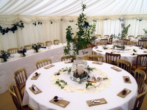 Small Informal Party Marquee